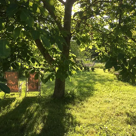 Capannacce Organic And Horse Farm Farm stay
