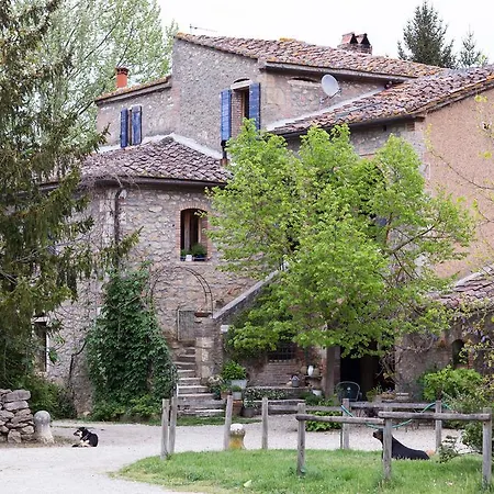 Farm stay Capannacce Organic And Horse Farm *