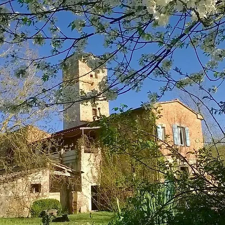Capannacce Organic And Horse Farm Farm stay