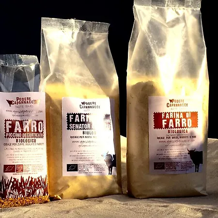 Bauernhof Capannacce Organic&horse Farm Rapolano Terme