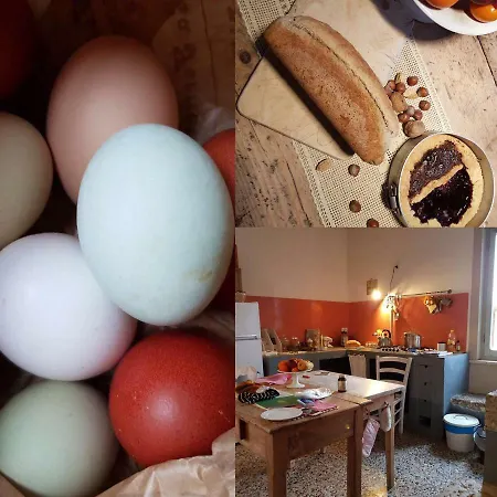 Capannacce Organic&horse Farm Bauernhof *
