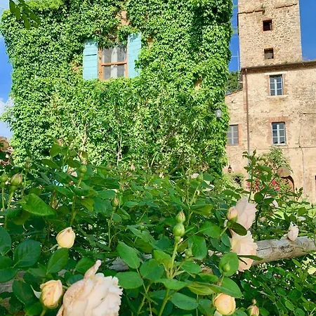 Capannacce Organic And Horse Farm * Rapolano Terme